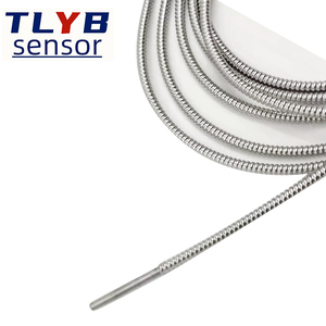 프로브 장착형 디지털 온도계 WST/DTM-491 고정밀 산업용 방수 디지털 수온계 - Product Image 3