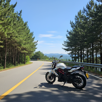 The 2025 <strong>Best</strong>-<strong>selling</strong> <strong>Benelli</strong> Huanglong 300cc Two-cylinder Fuel <strong>Motorcycle</strong> Is Available for Export.