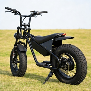 Bicicleta Eléctrica Todoterreno de Alta Potencia para Aventuras Extremas y Montaña, Gran Venta - Product Image 1