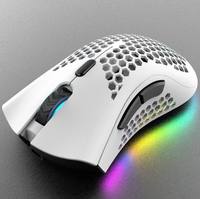 Souris de jeu RGB Rechargeable sans fil, Design ergonomique, souris de jeu optique légère en nid d'abeille avec rétro-éclairage