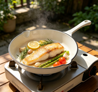 Poêle à frire en fonte émaillée LFGB FDA 25 cm 1,5 L, compatible induction et gaz, antiadhésive, résistante à la chaleur
