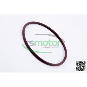 Controladores de motor originales OEM O-seal MWM - Product Image 6