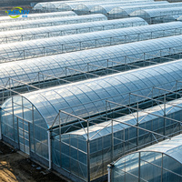Serre agricole moderne multi-travées avec structure en acier galvanisé à chaud pour la culture commerciale de légumes sous film plastique