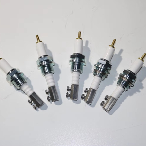 OEM Reliable SparkPlug Luxury Car Engine-Suited Ignition Pins Automotive Combustion Chamber-Applied <b>Heat</b>-Resistant Plugs - Product Image 1