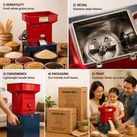 Moulin à Grains Électrique Multifonctionnel 220V, Mini Moulin à Farine pour Blé, Maïs, Herbes, Épices, Broyage à Sec, Usage Domestique