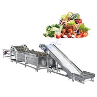 Maquina Lavadora De Fruta Petite machine à laver et à éplucher le manioc avec brosse à pommes de terre au gingembre Inde