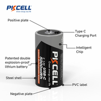 PKCELL C Taille 5000mWh Aa Batteries rechargeables Usb-c 1.5v Li Ion Batteries rechargeables
