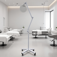 Beauté professionnelle en Nylon LED lumière froide loupe sourcil lumière de tatouage à quatre pattes pour la conception de roues d'acné de choix de cils