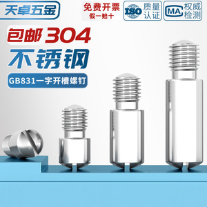 304 Stainless Steel GB831 Slotted Headless Stepped Screw Pin M2 M3 M4 M5 M6 M10 Metric Standard Thread - Product Image 3