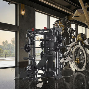 Fitness ekipmanları makine çelik ev kapsamlı eğitmen Gantry portal kombinasyonu Triceps eğitmen 70*2 ağırlık yığını evrensel - Product Image 2