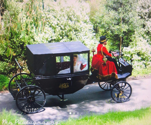 Meilleures ventes : Carrosse royal victorien personnalisé pour le transport de chevaux, véhicule utilitaire, carrosse à chevaux, à vendre - Product Image 4