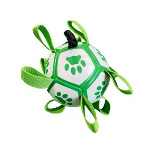 Ballon de jeu interactif en nylon écologique à motif de dessin animé - Utilisation extérieure, résistant aux morsures, pour l'entraînement au <span class=keywords><strong>football</strong></span>, au tirage à la corde et aux jeux aquatiques - Product Image 1