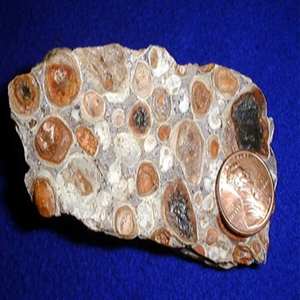 แร่อะลูมิเนียมอะลูมิเนียมแบบพรีเมียมเกรดส่งออก gibbesite ปริมาณอลูมินาสูงเหมาะสำหรับวัสดุทนไฟและสารเคมี - Product Image 3