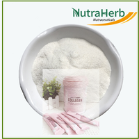 Poudre de peptides de poisson OEM poudre de peptides hydrolysés pour les cheveux, la peau, les ongles poudre de protéines de poisson végétalien dans des sacs pour gommes