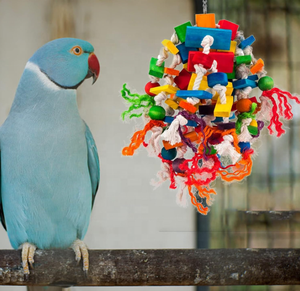 Multicolored Large Wooden Blocks Tearing <strong>Toys</strong> Bird <strong>Parrot</strong> Chewing Biting <strong>Toy</strong> for African <strong>Grey</strong> <strong>Parrot</strong> - Product Image 2
