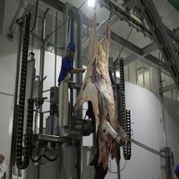 Ligne de processus de viande de machine d'équipement d'abattage de taureau pour halal