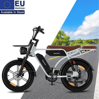 Vélo électrique M9 Scrambler 250W 48V Batterie 35Ah Autonomie 130 km Accessoires gratuits Freins à disque hydrauliques E-bike