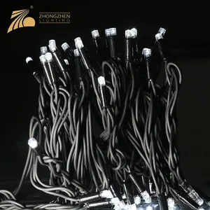 Environmental Protection Outdoor IP65 Waterproof Festival Decoration Rubber Copper Wire String LED Light