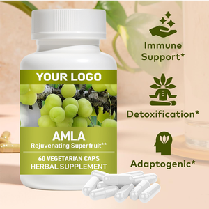 Complément alimentaire Carlyle Amla Capsules, supplément de fruit d'amla, poudre d'amla biologique pour la protection antioxydante, l'énergie et le soutien digestif - Product Image 5