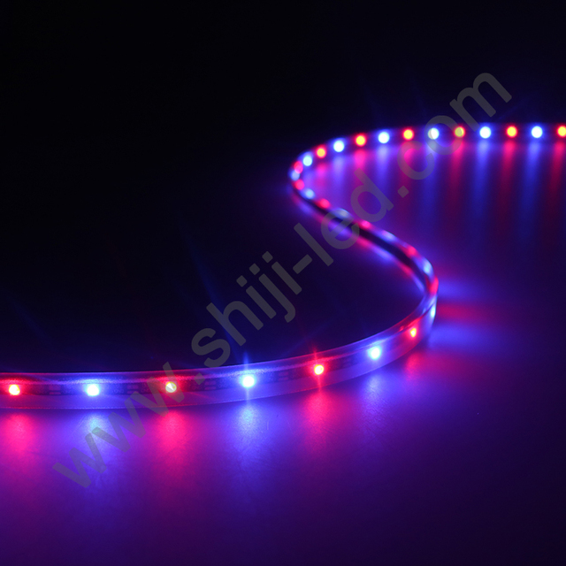 Shiji Addressable Multi Color Changing 30 60 90 120 144 Leds 5V WS2811 WS2812B SK6812 Mini SMD 2427 RGB Pixel LED Light