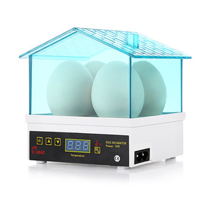 Juguetes educativos para niños, Control automático de temperatura, 4 huevos, miniincubadora - Product Image 2