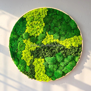 Naturel vert doux renne art mousse en vrac boîte mur encadré décor feuille décorative plante naturelle mur préservé mousse pour la décoration - Product Image 5
