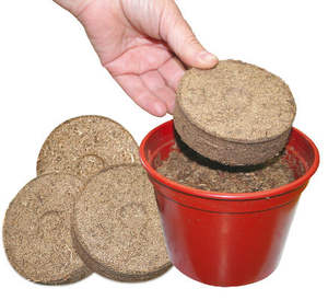 Prensado musgo de turba de briquetas de tablet para el crecimiento de las plántulas - Product Image 1