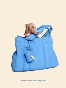 Özelleştirilmiş lüks kabarık evcil hayvan taşıyıcı seyahat Tote güvenlik kanca ve depolama cepler ile hafif naylon köpek kedi taşıyıcı - Product Image 5