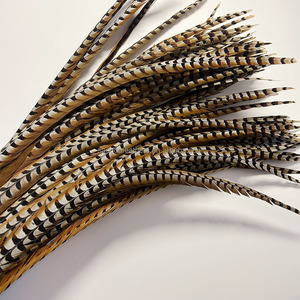 Plumas <span class=keywords><strong>de</strong></span> Cola <span class=keywords><strong>de</strong></span> Faisán Reeves Naturales <span class=keywords><strong>de</strong></span> 140-150 cm <span class=keywords><strong>de</strong></span> Largo, en Oferta, para Disfraces <span class=keywords><strong>de</strong></span> Carnaval y Sombreros <span class=keywords><strong>de</strong></span> Samba - Product Image 2