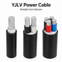 Câble en aluminium basse tension YJLV nu 1*0,5 mm Classe C ignifuge IP44 pour appareils électroménagers et câblage automobile