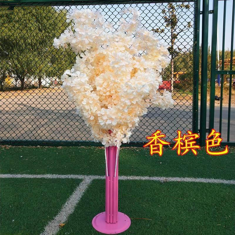 Couleur Champagne (cadre rose)