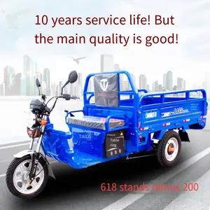 Electric Tricycle Freight Electric Vehicle Loading Truck Heavy King Agricultural Household Small Climbing King Express Car