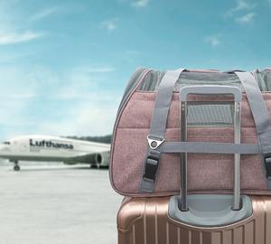 Yüksek kalite dayanıklı genişletilebilir havayolu onaylı köpek kedi için evcil hayvan taşıyıcı torba katı Polyester sırt çantası seyahat için sıcak satış - Product Image 6