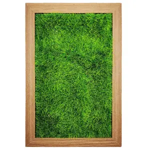 Hoge Simulatie Groene Muur Verschillende Grootte Minimalistische Moss Muur Met Frame Voor Wanddecoratie En Woondecoratie