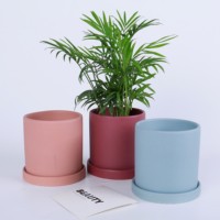 Vente en gros de pots de fleurs cylindriques modernes pour la décoration de la maison et du jardin, pots à succulentes, pots à fleurs mats avec soucoupe