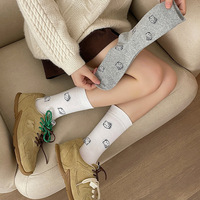 Vente en gros de chaussettes pour filles, style automne-hiver, mignonnes, mi-mollet, polyvalentes, chaussettes sans os