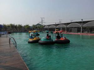 Prix usine électrique motorisé <span class=keywords><strong>gonflable</strong></span> enfants pare-chocs bateau forme animale jouets d'eau en fibre de verre Durable à vendre - Product Image 6