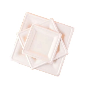 Assiettes carrées jetables biodégradables de 10 pouces, résistantes à l'eau et à l'huile, pour la restauration et les fêtes - Product Image 1