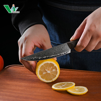 Couteau à fruits et à steak de 4 pouces, lame en acier inoxydable Damas à 67 couches, style japonais, écologique, fait main, ambidextre, manche en bois