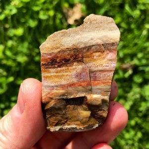 Vente en gros de bois pétrifié naturel brut, pierre fossile, cristal brut pour la décoration intérieure et la lithothérapie - Product Image 5