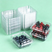 Kotak Plastik PET Grosir untuk Blueberry, Model Clamshell Transparan 125g, Wadah Buah untuk Kemasan Raspberry dan Mulberry Segar