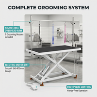 Équipements de spa vétérinaire de haute qualité, table de toilettage pour animaux de compagnie, stations de lavage pour chiens et chats avec fonction de levage