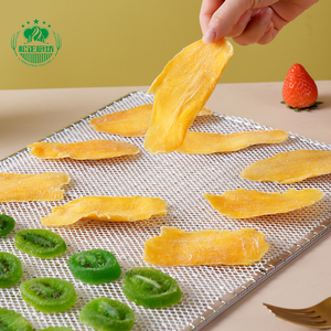 Leicht zu Reinigende Lebensmittelechte Grobgitterige Ofenfeste Hitzebeständige Obst- und Gemüse-Dehydrierungsmatte Antihaftbeschichtetes Silikon-Trockennetz - Product Image 3