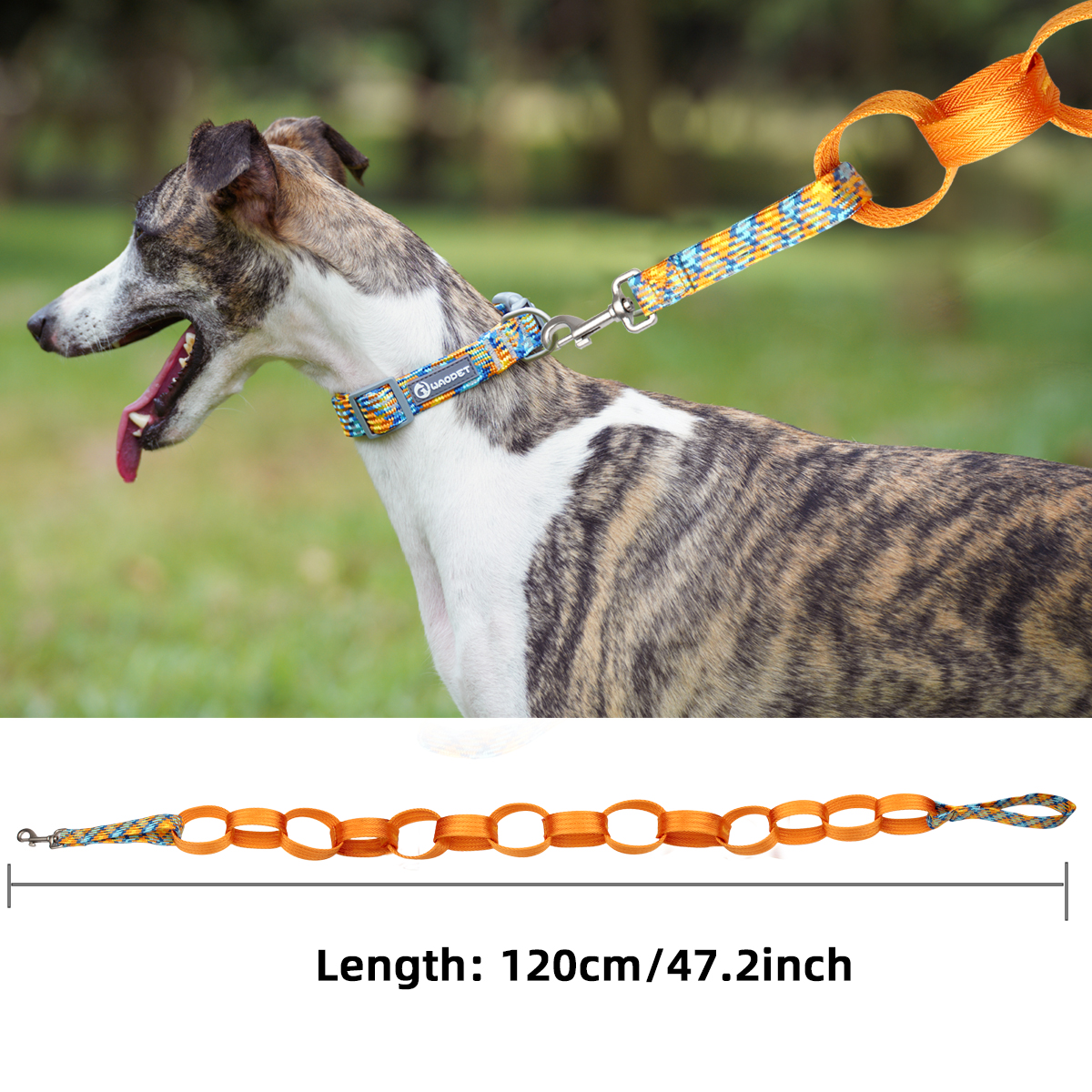 Custom Design Solid Fashion Nylon Dog Leash LL350 - Shenzhen Yifoohang Ribbon Co., Ltd.