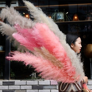 V-3078 Wholesale Price Fluffy Plume Reed <strong>Grass</strong> Pink White Natural <strong>Dried</strong> Pampas <strong>Grass</strong> for Wedding - Product Image 5
