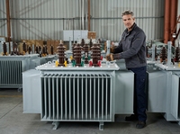 Transformateur triphasé immergé dans l'huile haute tension 50Hz 220kV 35kV 480V UL, haute stabilité, grande capacité, pour applications minières et métallurgiques