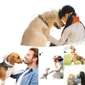 <strong>Top</strong> Seller Personalized Luxury <strong>Guinness</strong> Leather Pet Dog Leather Collar - Product Image 3