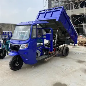 China three wheeled motorcycles car electric cargo large capacity Village Field Heavy Duty Cargo Tricycle