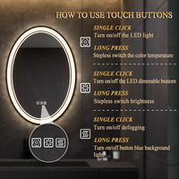 Miroirs éclairés avec cadre ovale en alliage d'aluminium noir, accessoires pour miroirs LED