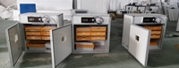 Incubateur d'œufs solaire automatique 528 œufs, double alimentation solaire et 220V, pour poulets, canards, cailles, oies, élevage de volailles